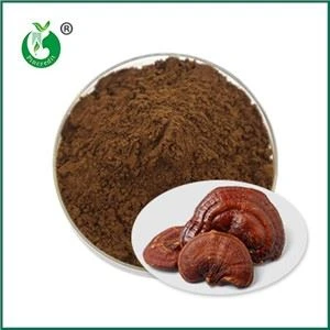 Éifeachtaí agus Tóg Contraindications Púdar spóir Ganoderma