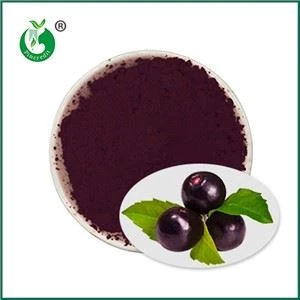 Púdar Acai íon