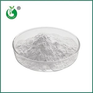 An féidir Aigéad Hyaluronic a Úsáid i mBia freisin? Cad atá ar Eolas Agat Fao...