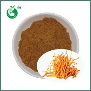 Cad é Sliocht Cordyceps Militaris? Cad Atá A Phríomh-Chomhábhair?