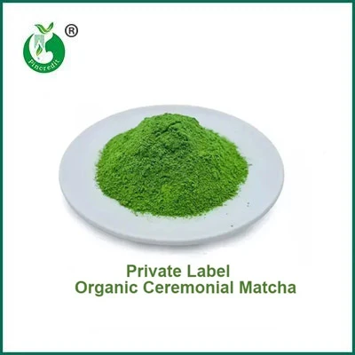 Cad é an Difríocht idir Púdar Matcha agus Púdar Tae Glas?
