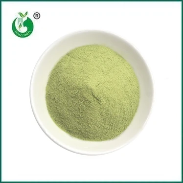 TEACHT NUA: Púdar Matcha Latte