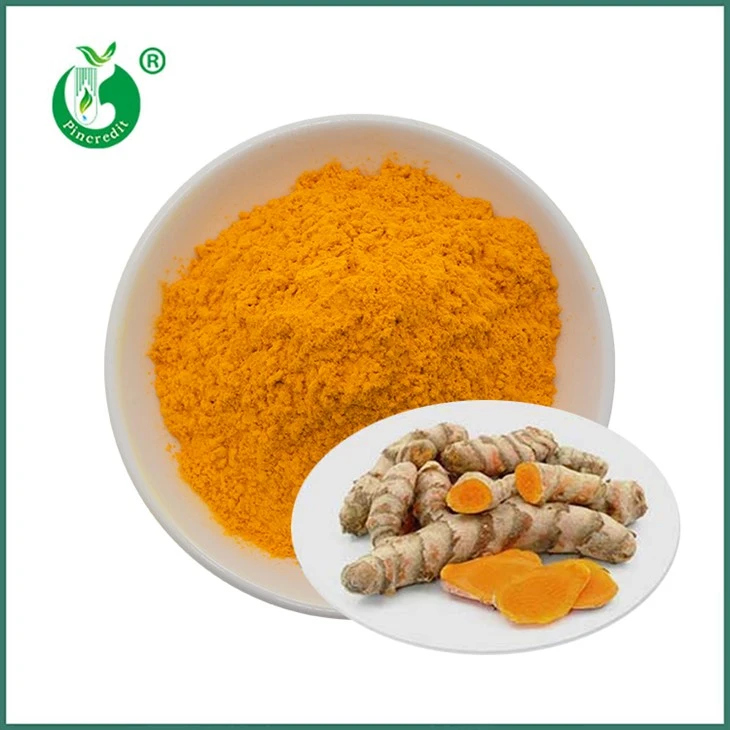 Púdar Sliocht Curcumin