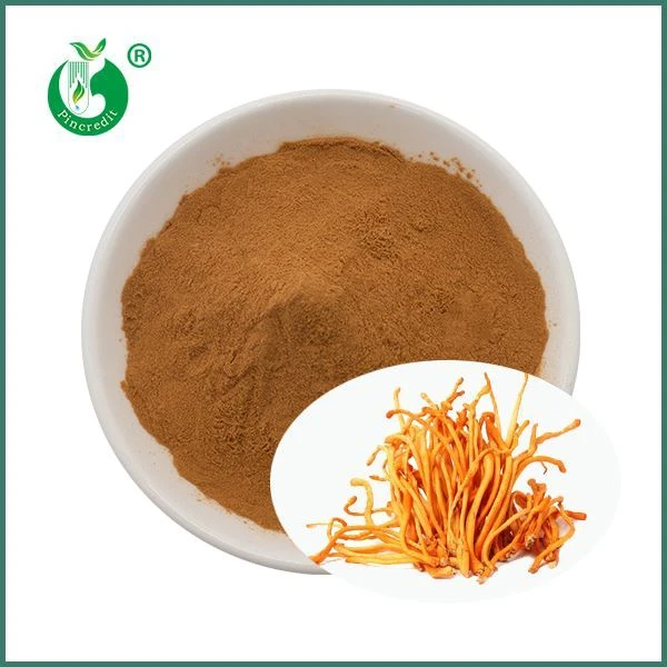 Sliocht Militaris Muisiriún Muisiriún Orgánach Cordyceps