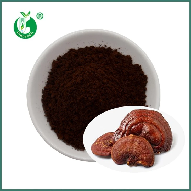 Púdar Spóir Reishi