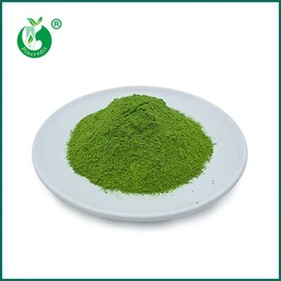 Púdar Tae Glas Matcha